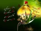 تسلیت فرارسیدن ماه محرم